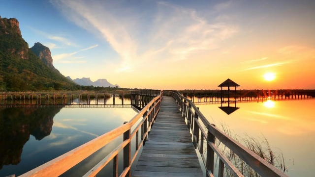 2020年中国游戏领域未成年人保护白皮书