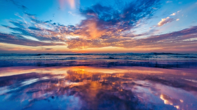 直播行业的前景和现状？